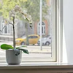 Beliggende Med Moderne Faciliteter 올보르